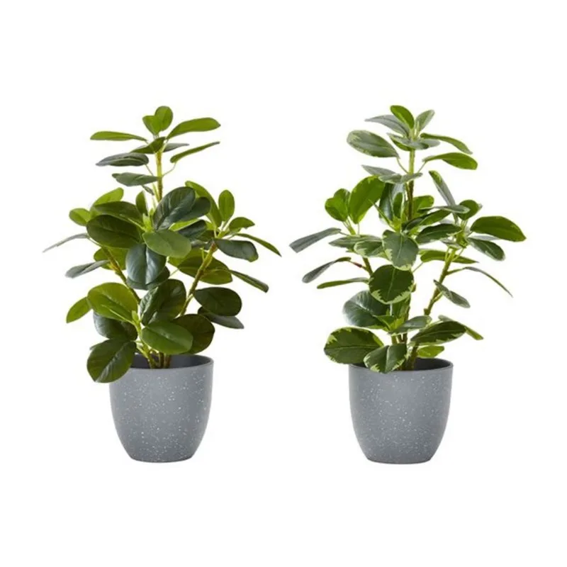 Monarch Specialties 14-in Tall Indoor Decorative Artificial Ficus Set of 2 in Grey Pots