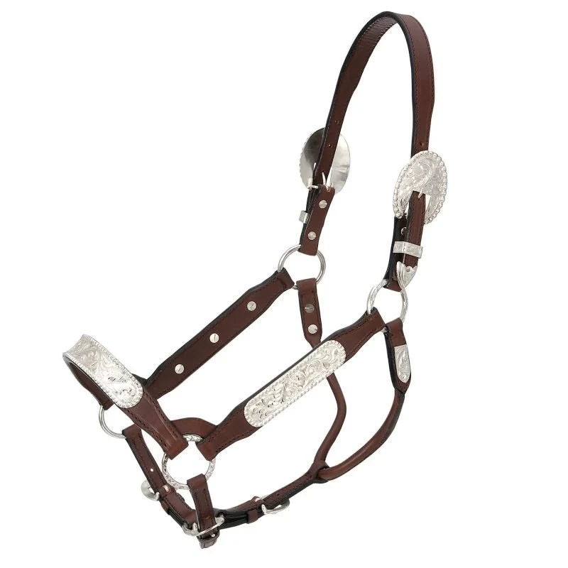 Royal King Congress Show Halter Dark Oil / Horse