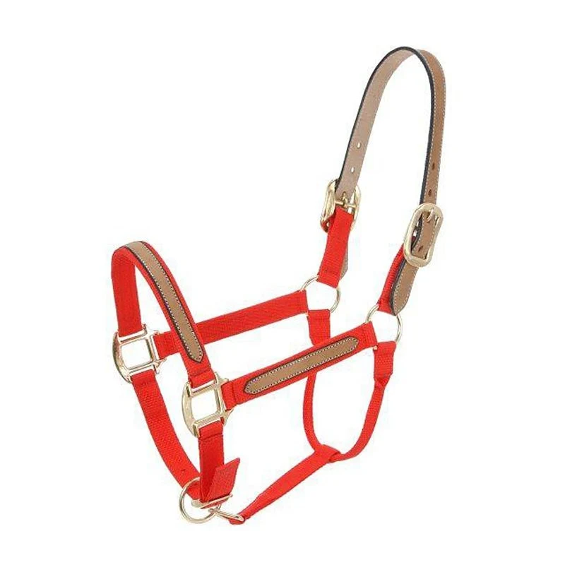 Tough1 Break-Away Halter Royal Blue / Horse