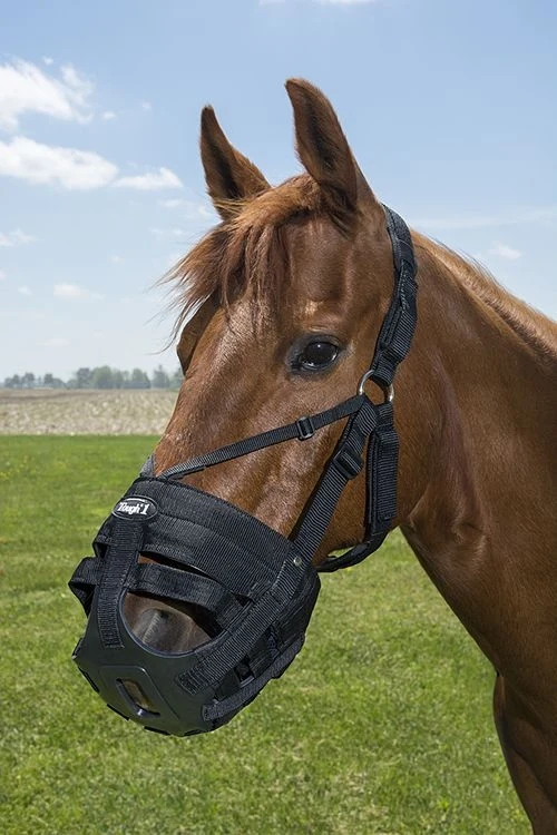 Tough-1 Grazing Muzzle Pad Set Black / Large Horse
