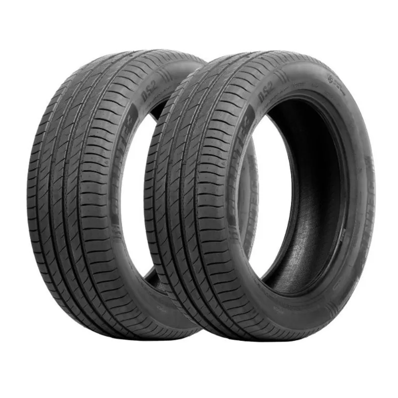 Kit 2 Pneus Delinte Aro 21 245/40r21 100y Xl Ds2