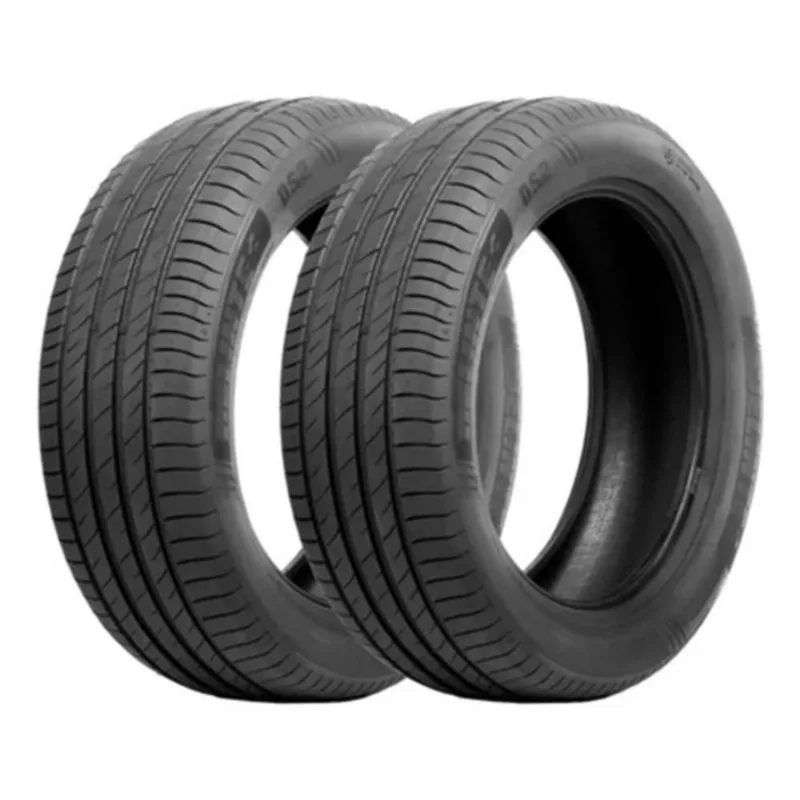 Kit 2 Pneus Delinte Aro 21 315/30R21 105Y DS2 MC