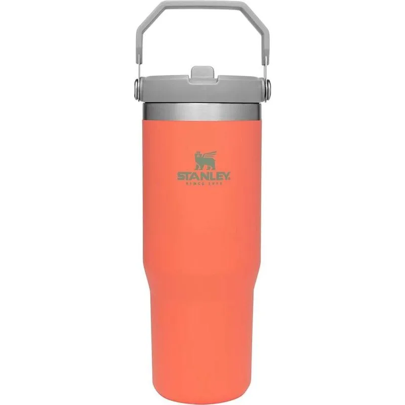 Caneca Térmica Com Bico Stanley Classic The Iceflow 10-09993-046 (887ml) Guava