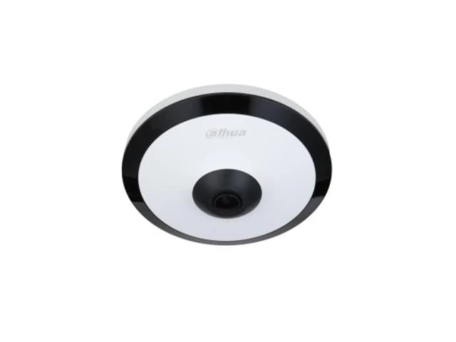DHA IPC-EW5541P-AS