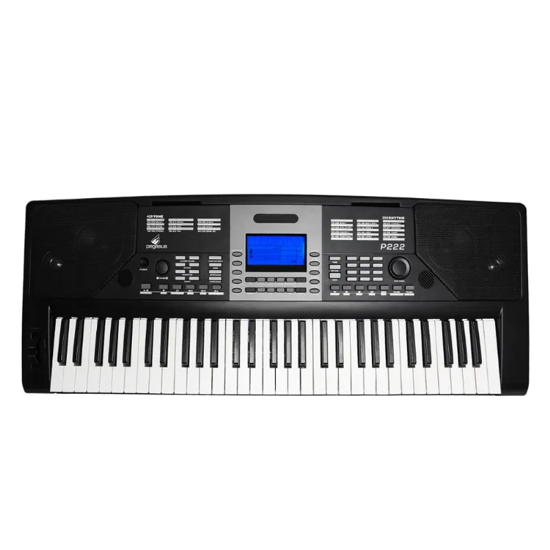 Teclado Arranjador Pegasus P222 Com Fonte e Porta Partitura