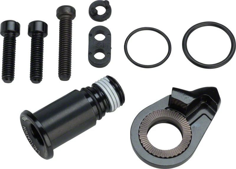 SRAM Upper Bolt and Springs Hex Key B-Bolt Limit Screw Kit for Eagle XX1 X01 Rear Derailleur