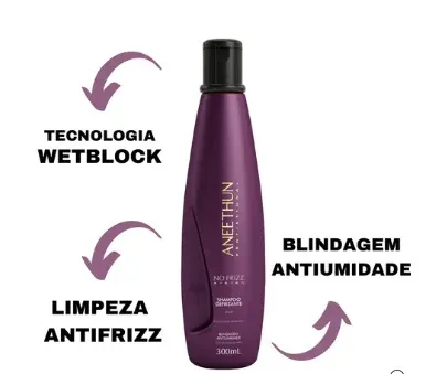 Shampoo Defrizante Aneethun No Frizz System 300 Ml