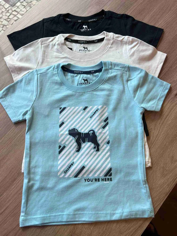 CAMISETA MANGA CURTA CACHORRO YOU MENINO CHARPEY AZUL CLARO / 12