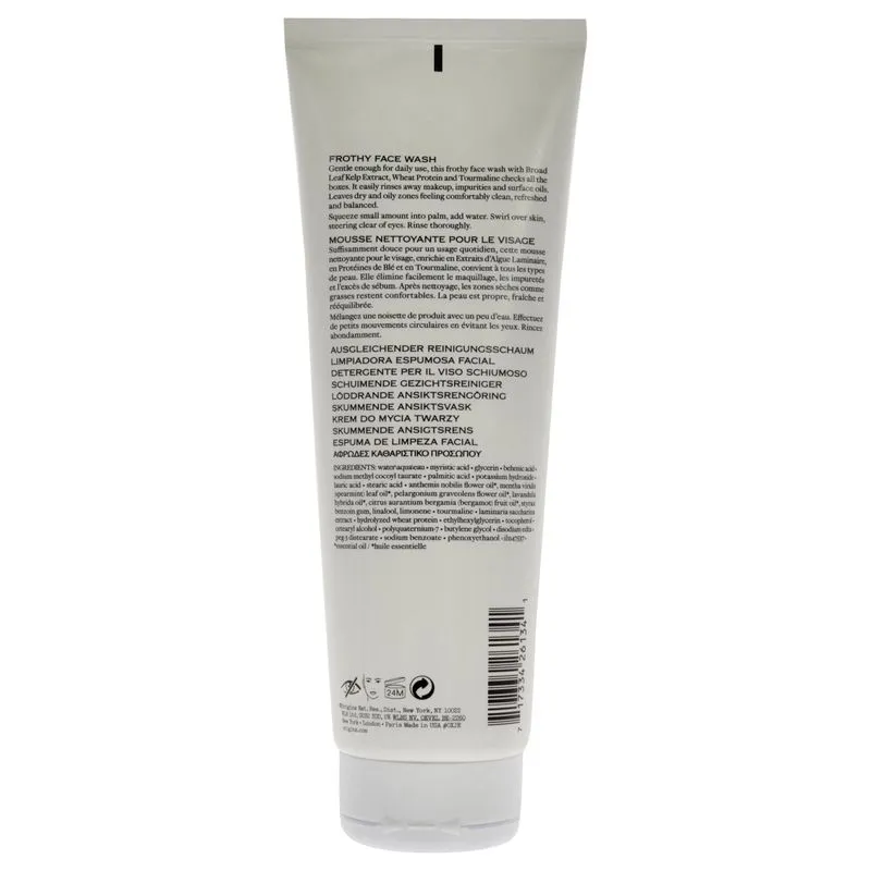 Verifica E Equilibra Lavagem Facial Frothy Por Origens