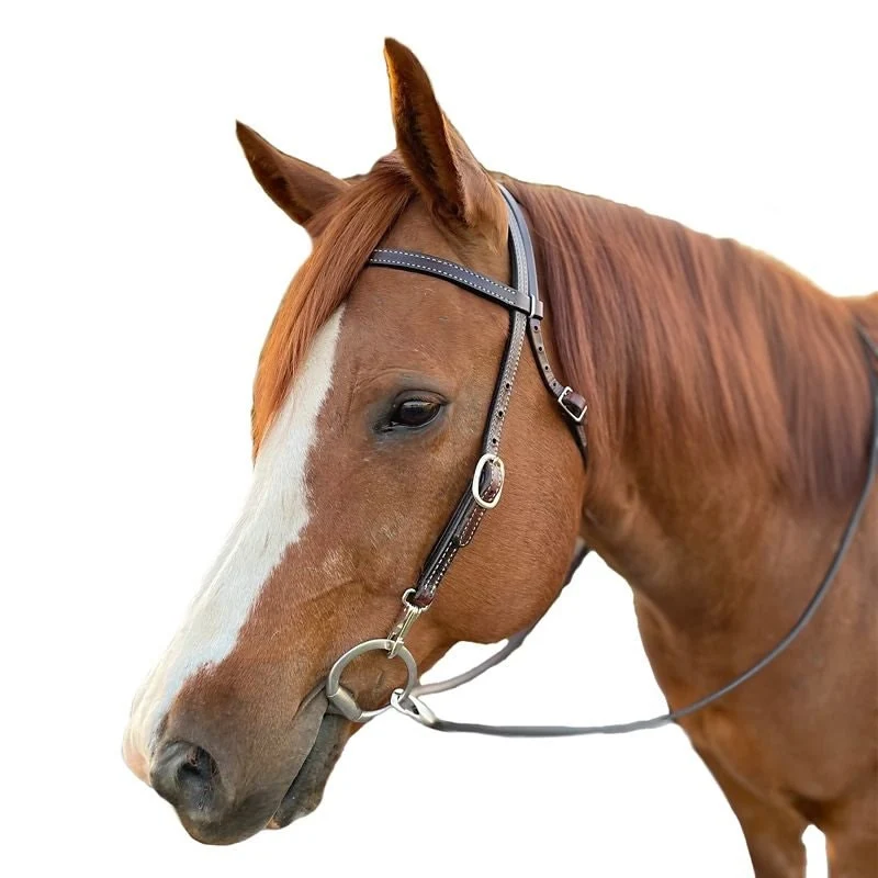Tory Dark Harness Brow Band Headstall with Snaps Brown / Horse