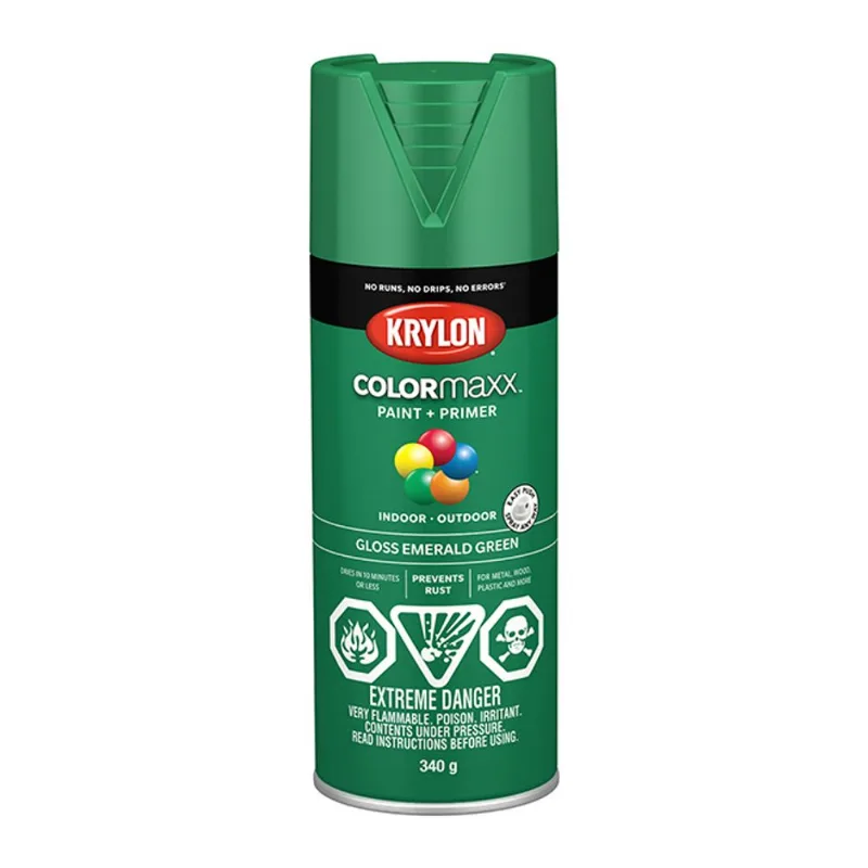 Krylon COLORmaxx 340 g Indoor/Outdoor Gloss Paint and Primer - Emerald Green
