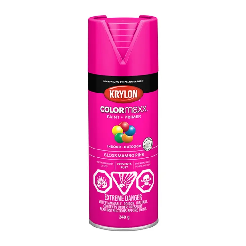 Krylon Colormaxx Acrylic Paint and Primer in One Aerosol Spray - Gloss- Mambo Pink - 340 g