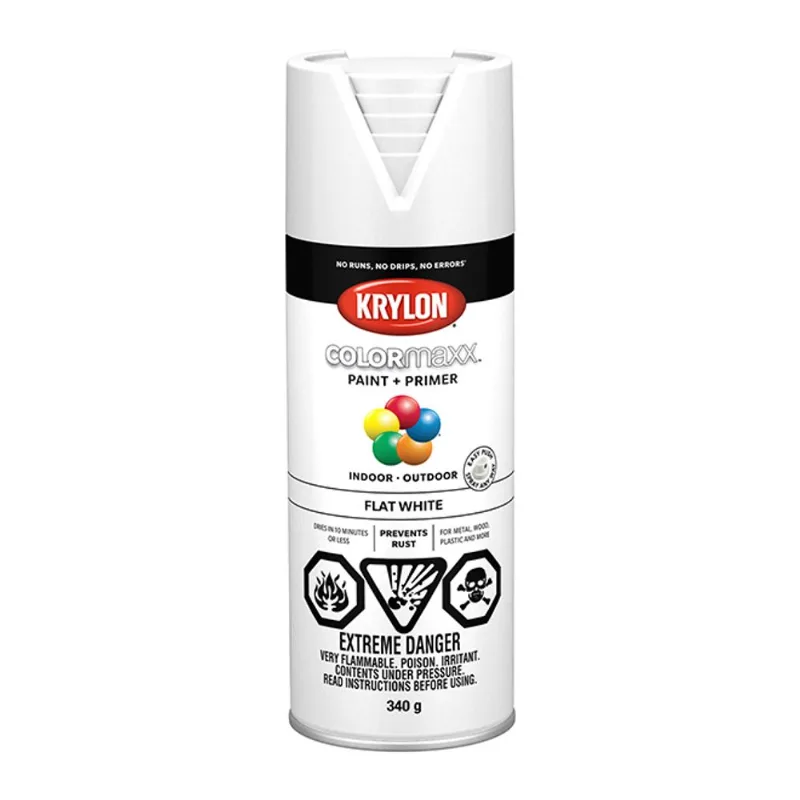 ColorMaxx Paint and Primer - Aerosol - 340 g - Flat White