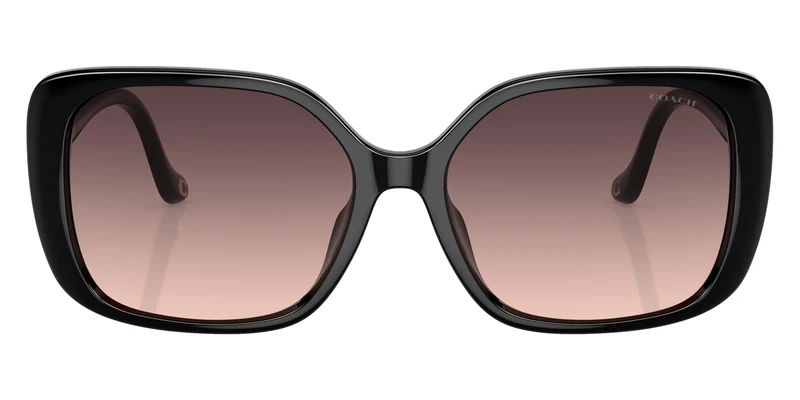 Coach - HC8376U CL929 Black / Gray Pink Gradient 5002U8 / 56-16-145