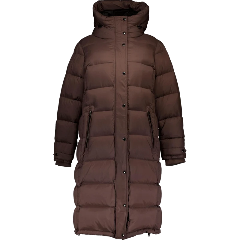 Falcon Bracken 36