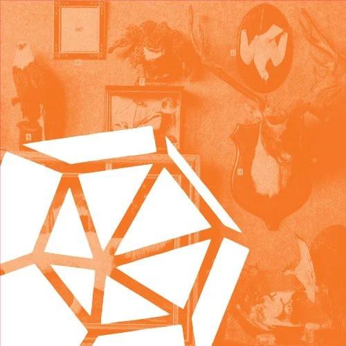 Segni [Single]