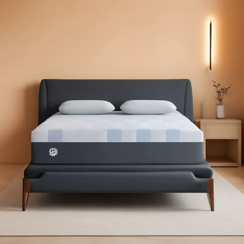 Queen Dreamlife Gel Memory Foam Mattress Surface Guard 12" / Queen