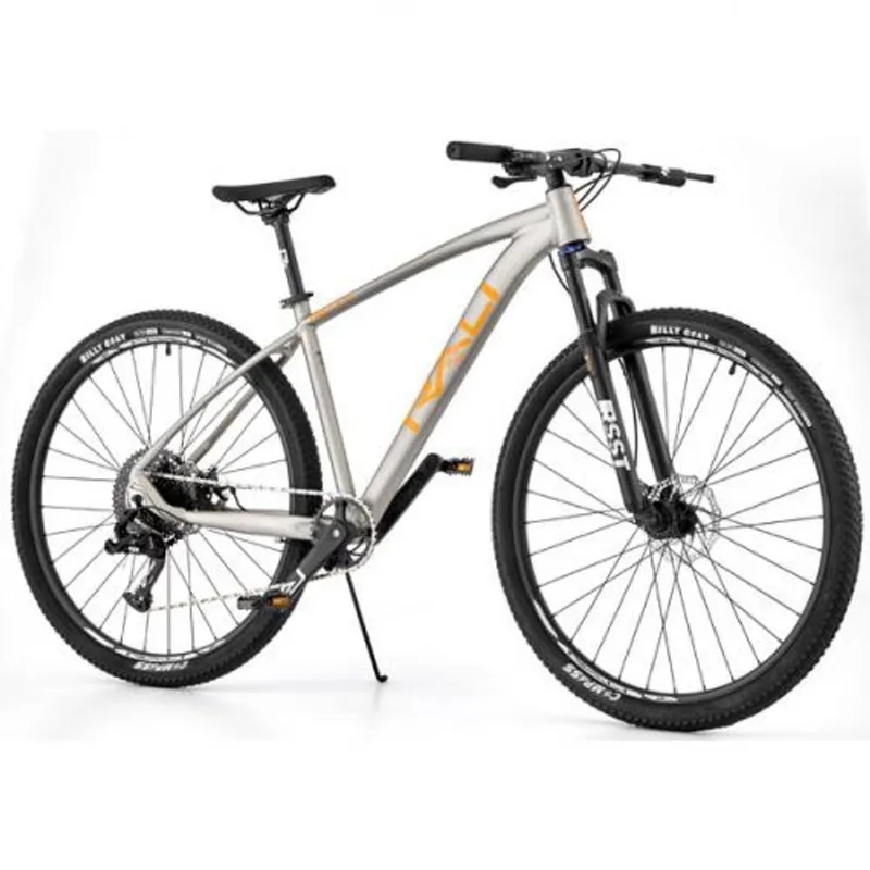 Bicicleta rali pro-x10 mtb 29 hombre gris RALI
