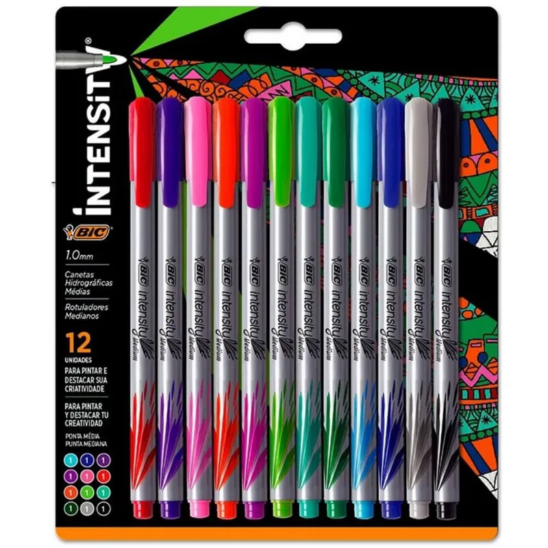 Caneta Hidrografica 1.0mm Bic Intensity com 12 Cores - Bic
