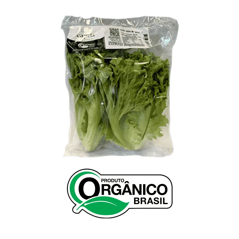 Alface Crespa Orgânico