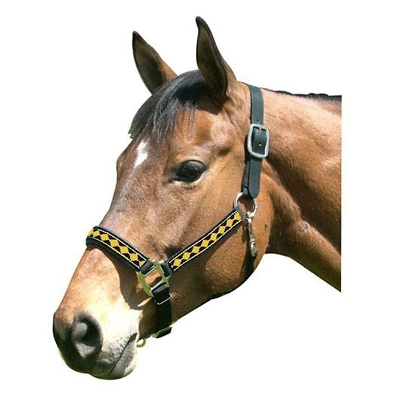 Leather Crown Diamond Pattern Halter Black Gold / Yearling