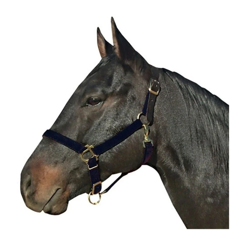 Leather Crown Nylon Breakaway Halter Black / Horse