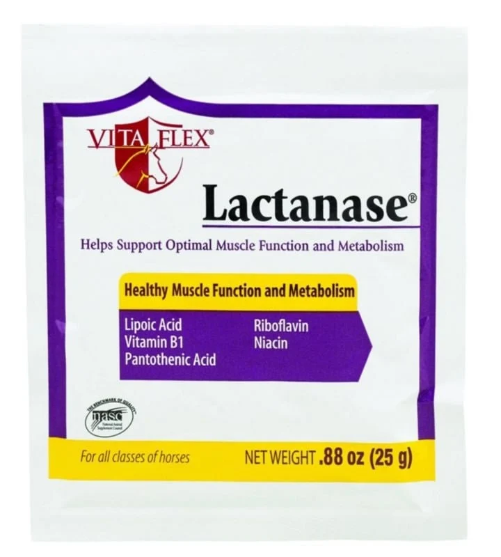 Vita Flex Lactanase 25 gm