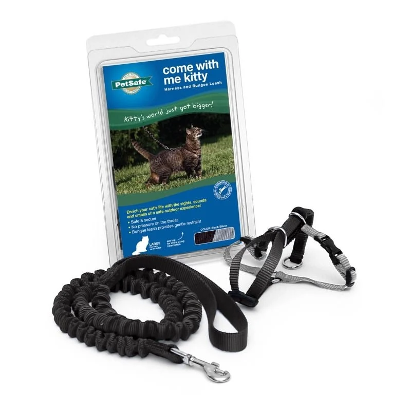 PetSafe Come With Me Kitty Harness Black / Kitten/Small