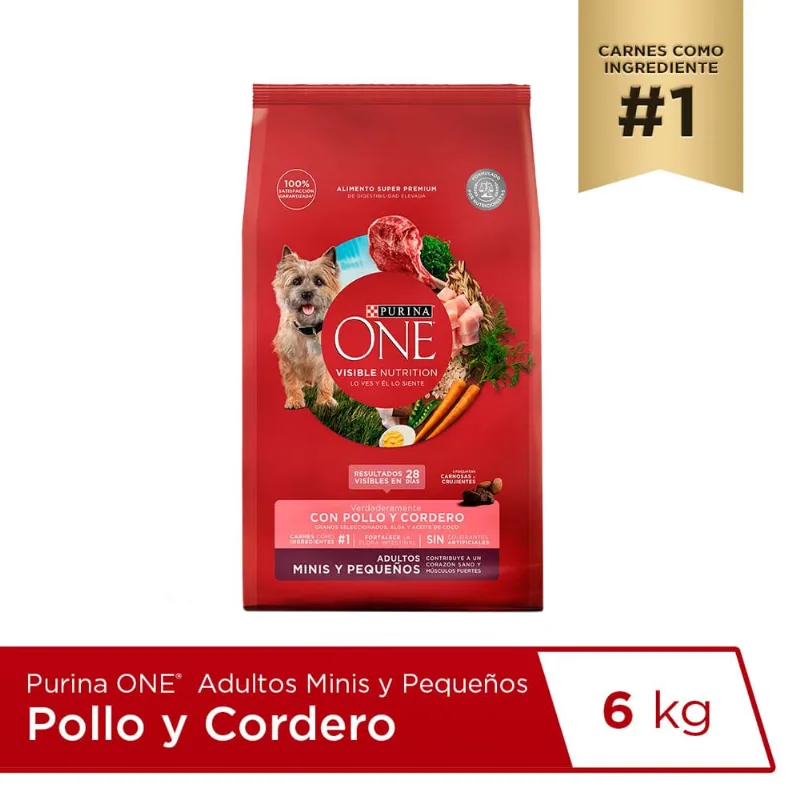 Alimento para Perro ONE Adulto Minis y Pequeños Sabor Pollo y Cordero Bolsa 6Kg