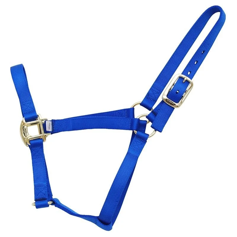 Reinsman Classic Nylon Halter Royal Blue / Cob