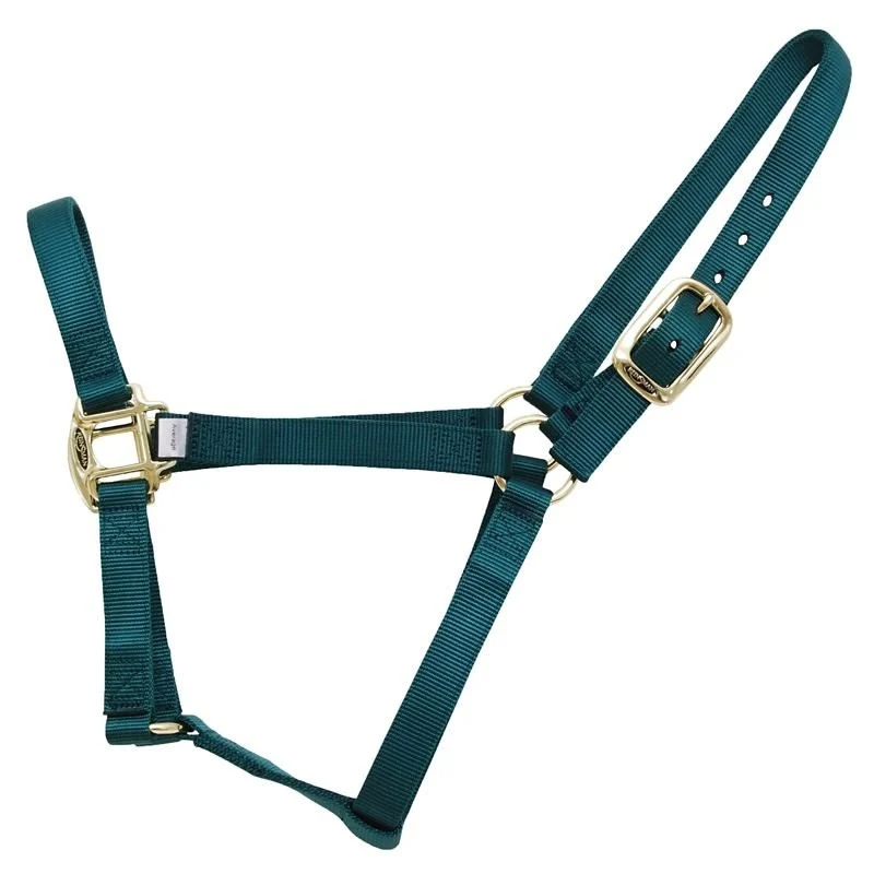 Reinsman Classic Nylon Halter Hunter Green / Yearling
