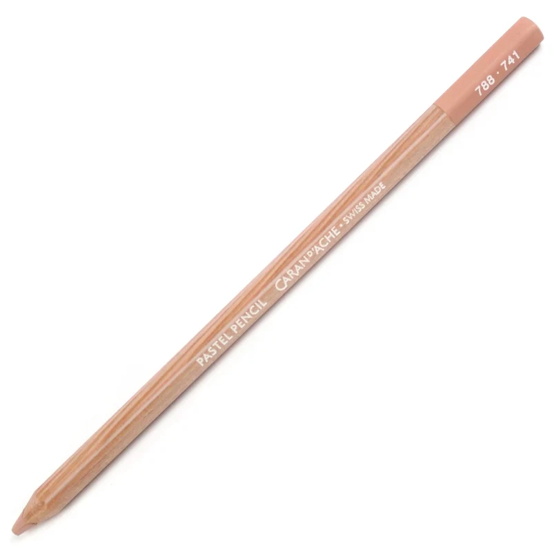 Lápis Pastel Caran D'Ache Tom Marrom 741 Dark Flesh 5%