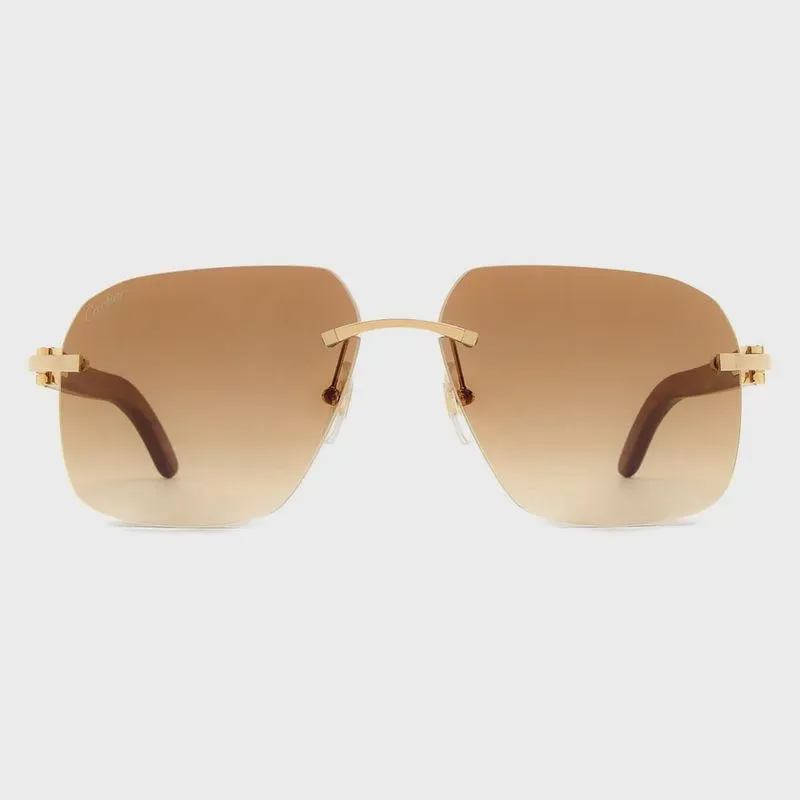 Cartier CT0041RS 001