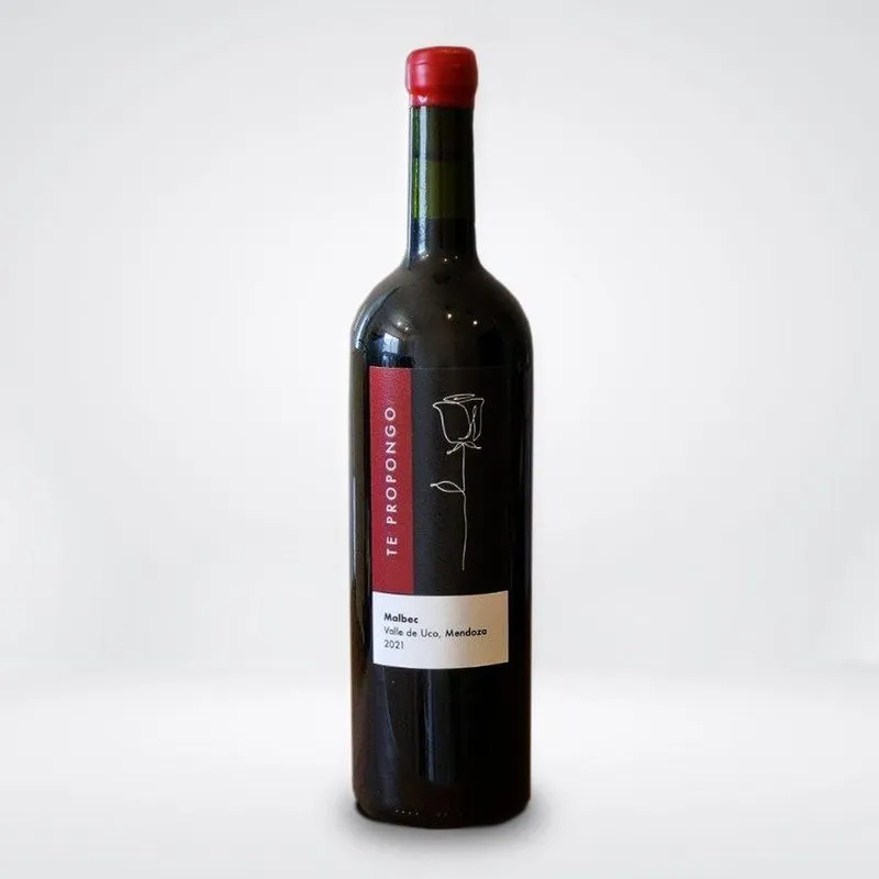 Vinho Tinto Seco Te Propongo Malbec Mendoza 750ml