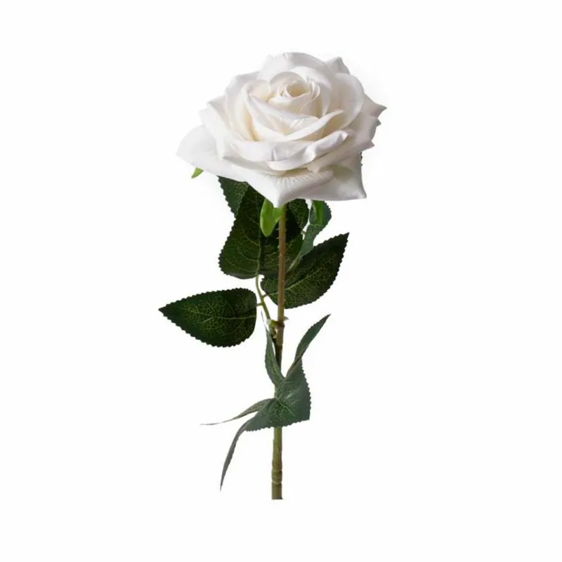 Flor Jazmín Blanco S/mx1