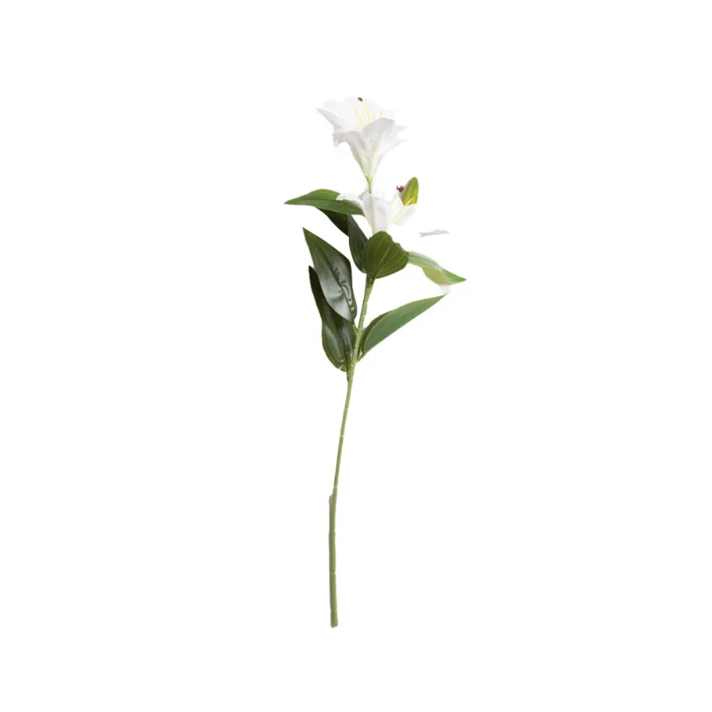 Rosa Lillium Blanco S/mx1