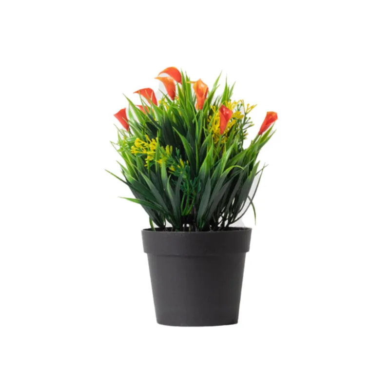 Planta Campanilla Rojo S/mx1