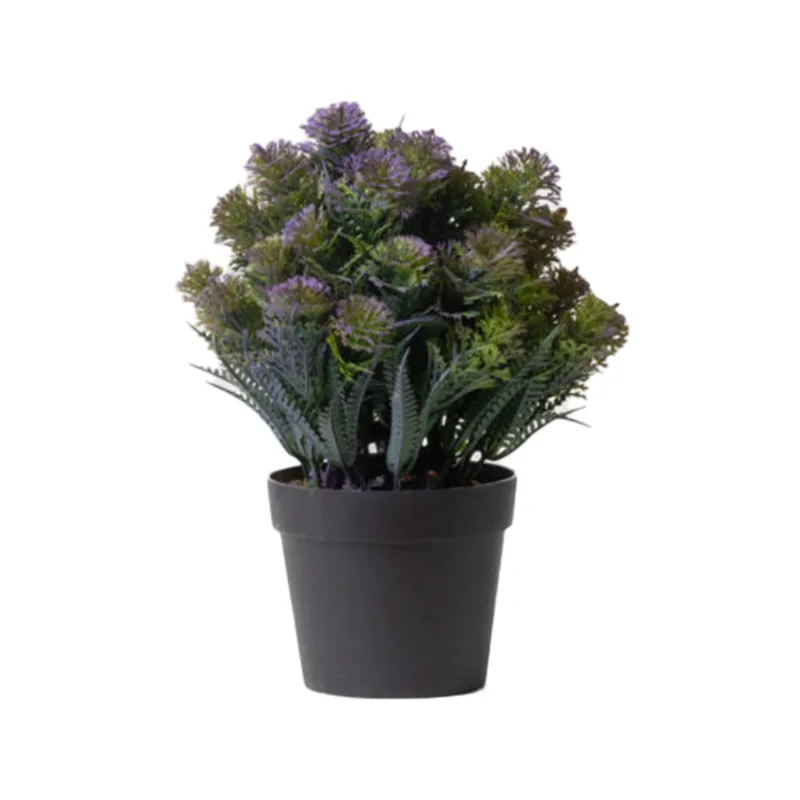 Planta Lavanda C/maceta Violeta S/mx1