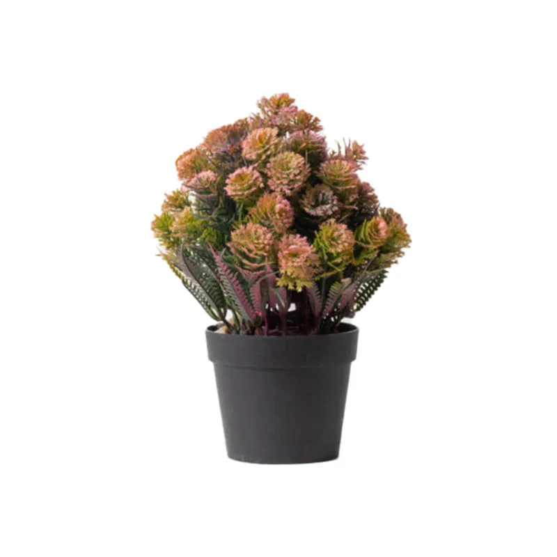 Planta Lavanda C/maceta Rosa S/mx1