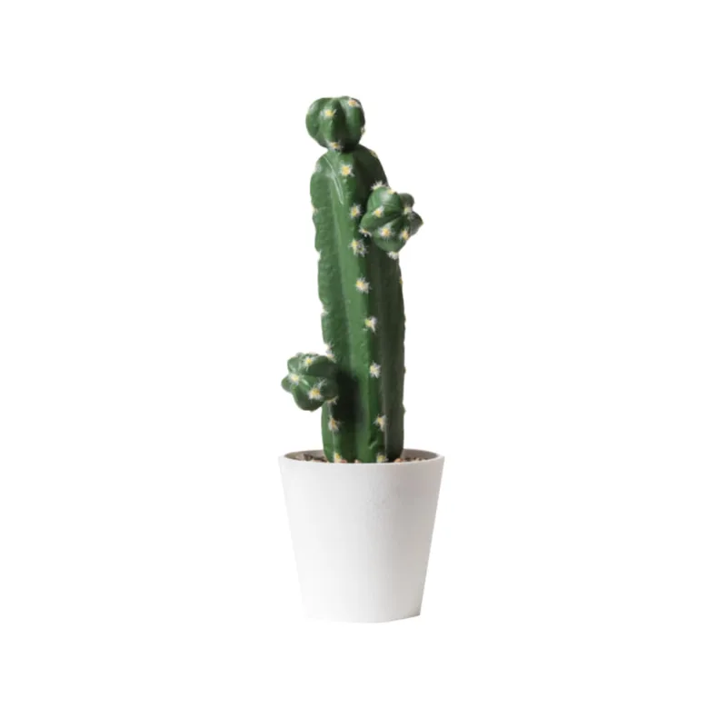 Planta Cactus 1 S/mx1