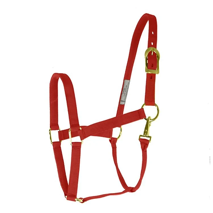 Basic 2-Ply Halter with Snap Red / Large