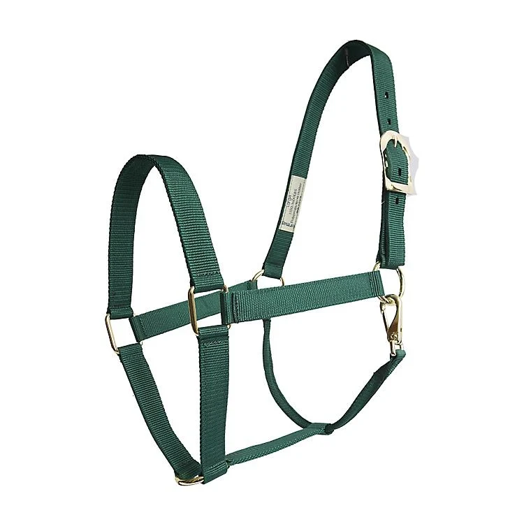 Basic 2-Ply Halter with Snap Hunter Green / Average
