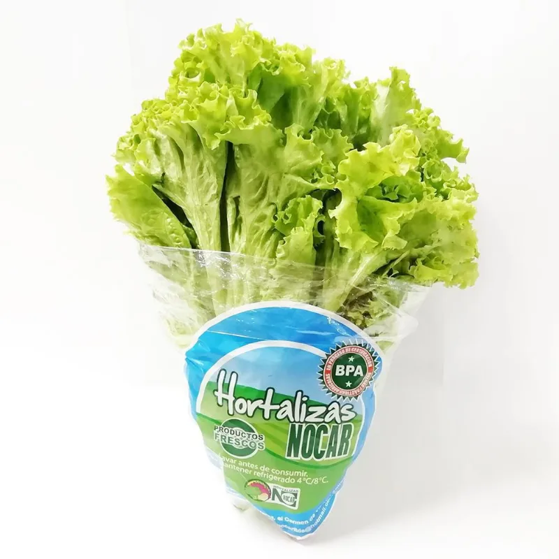 LECHUGA VERDE LISA BOLSA 1 und