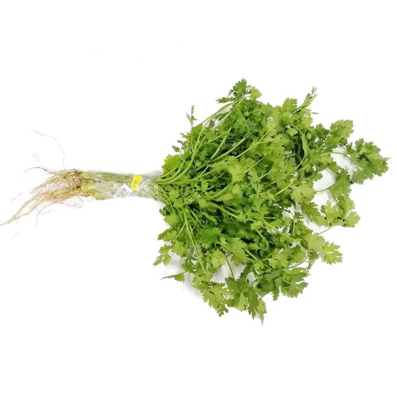 CILANTRO 100 gr