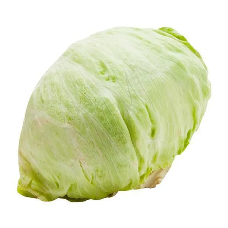 Lechuga Batavia 1 und