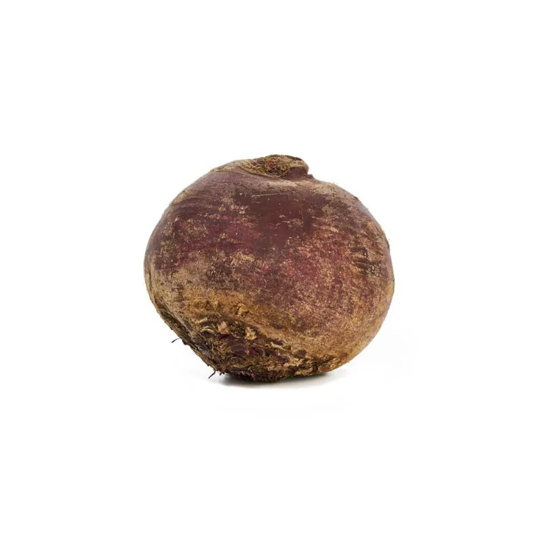 Remolacha 1 und