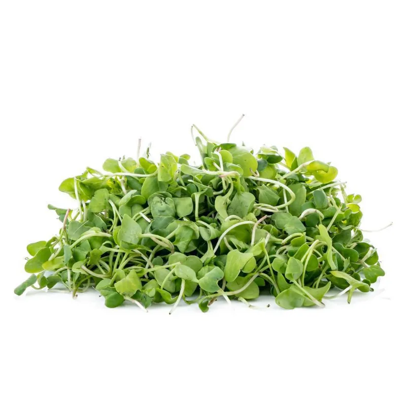 Brotes 50 gr