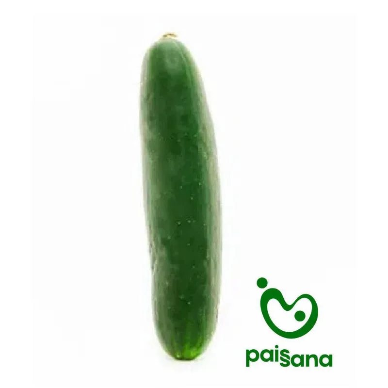 Pepino Cohombro 1 und