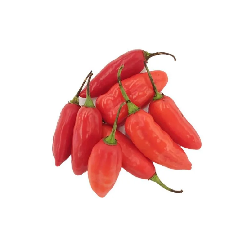 Aji Dulce 1 und