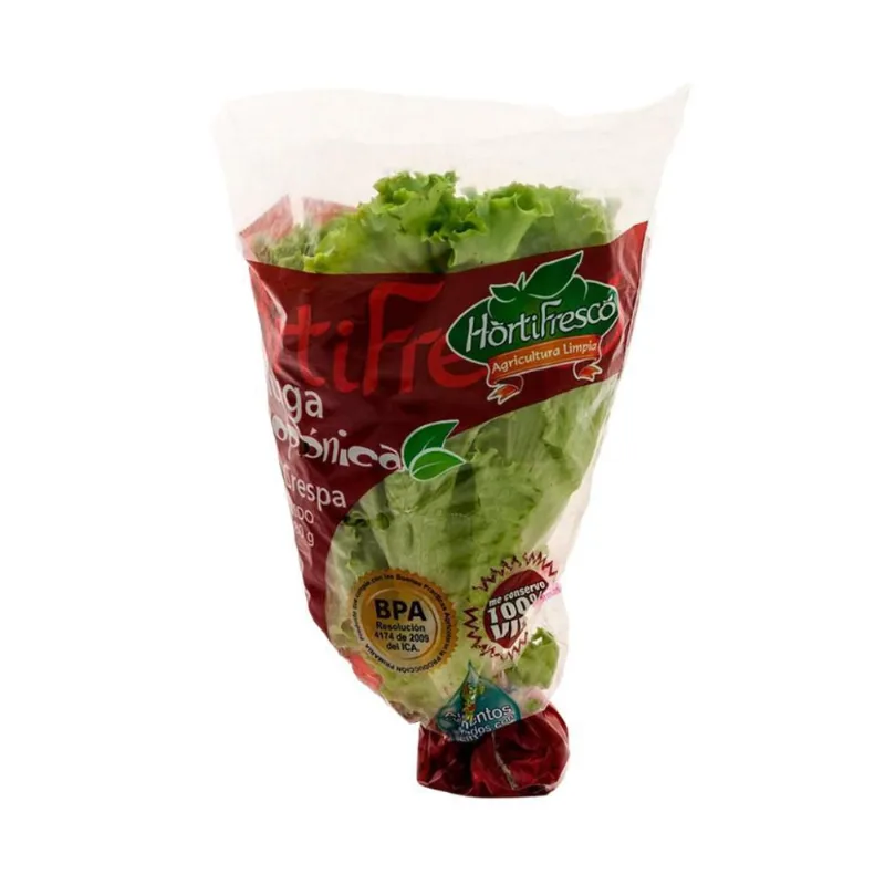 LECHUGA HIDROP VERDE CRESPA 1 und